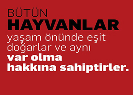 Ses Veteriner Kliniği