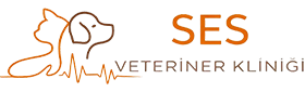 Pet Community Veteriner Kliniği